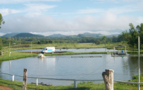 Image 02