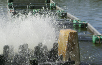 Image 05