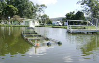 Image 06